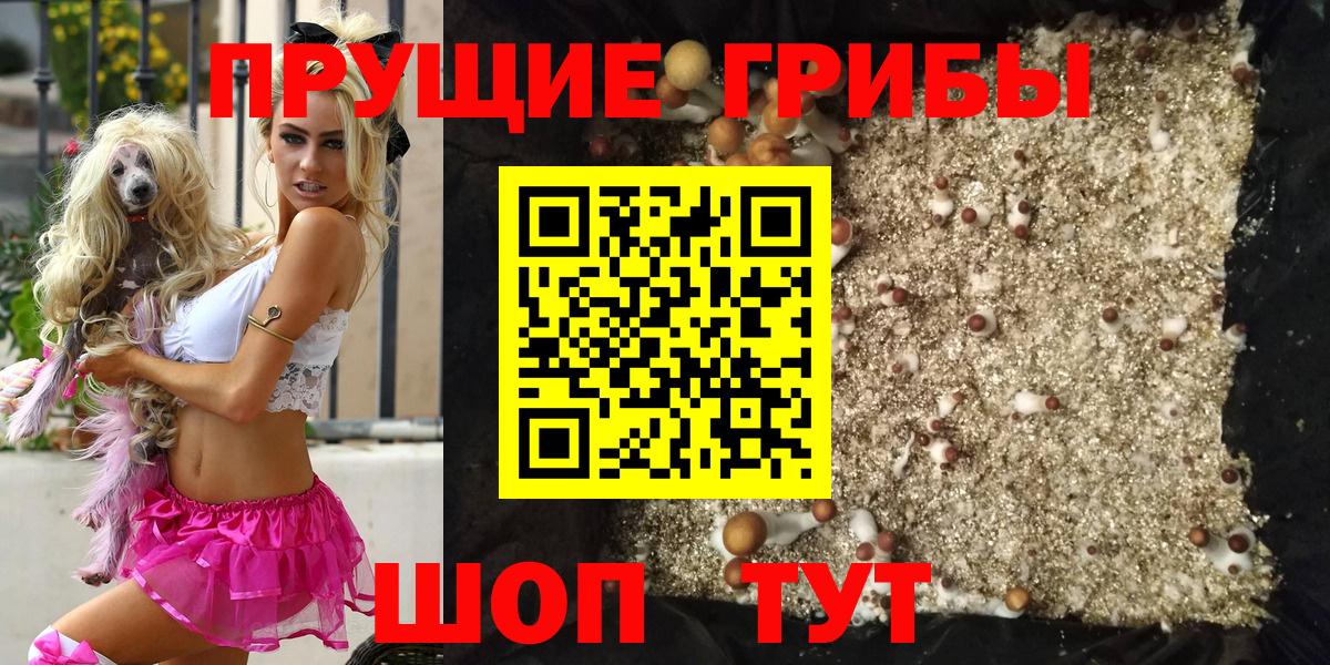 Псилоцибиновые грибы GOLDEN TEACHER Москва