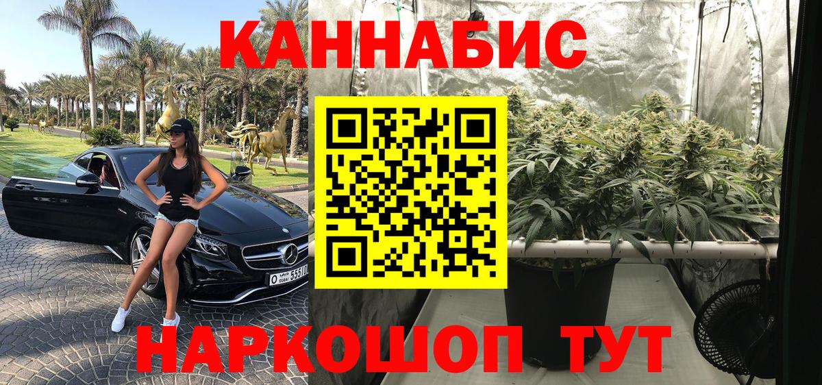Бошки марихуана конопля  Шишки марихуана планчик  Каннабис Ganja  Москва  Вход с VPN 